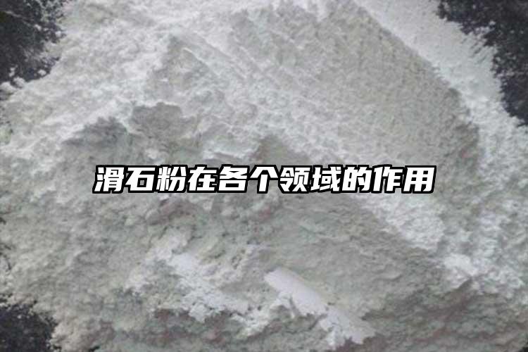 滑石粉在各個領域的作用