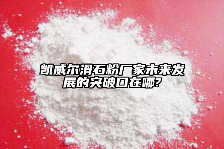 凱威爾滑石粉廠家未來發展的突破口在哪?